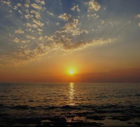 Shardana 4*