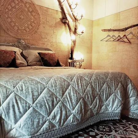 B&B Shardana 세노리