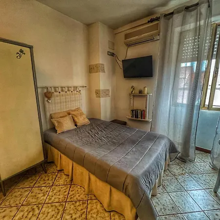 B&B Shardana 세노리